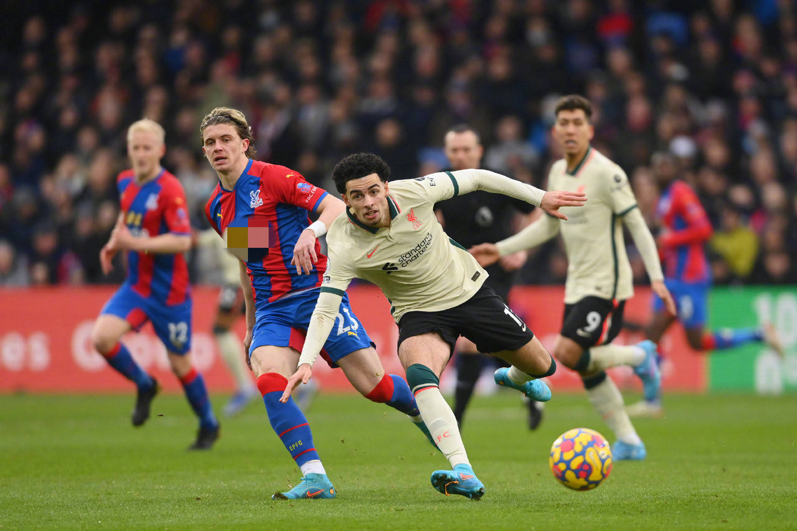 都值得期待 都值得期待